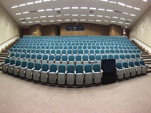 Find the Critical Audience for Your Startup